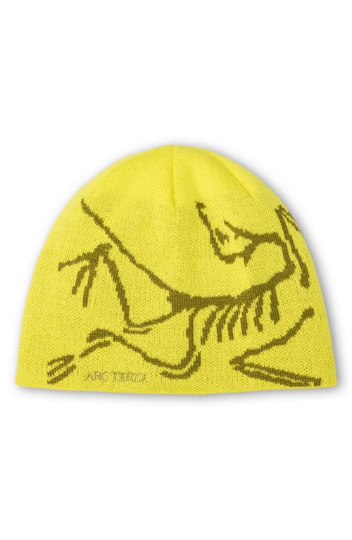 Arc'teryx Bird Head Merino Wool Blend Beanie In Yellow