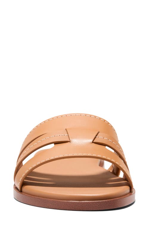 Cole Haan Flynn Slide Sandal In Biscuit Leather