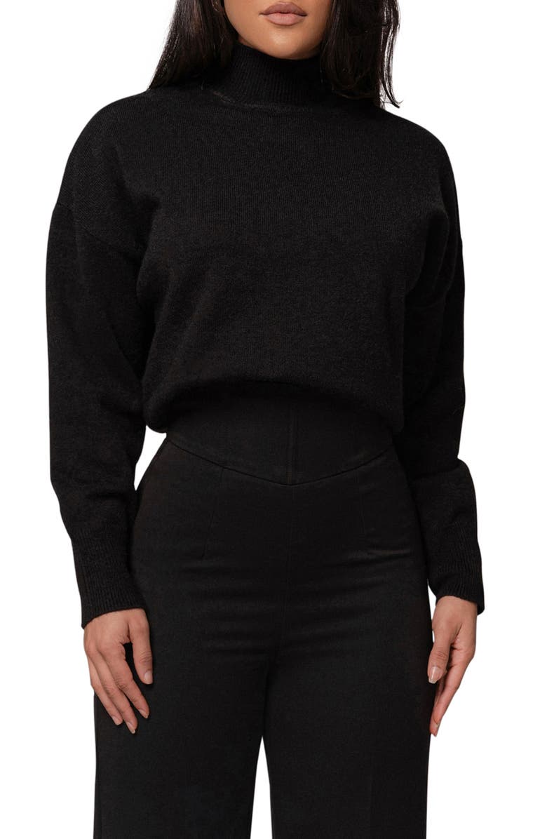 JLUXLABEL Turtleneck Sweater, Alternate, color, Black
