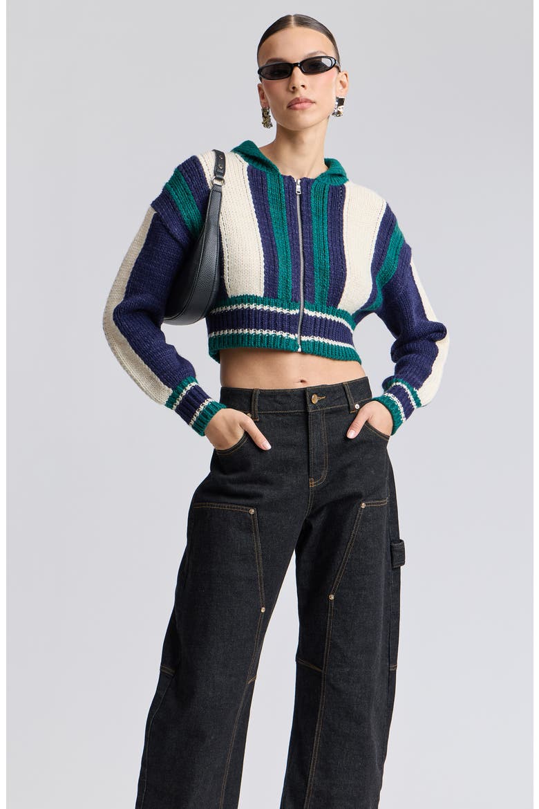 Striped Chunky Zip Cardigan, Alternate, color, NAVY COMBO