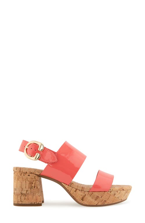 AEROSOLES AEROSOLES CAMERA PLATFORM SANDAL