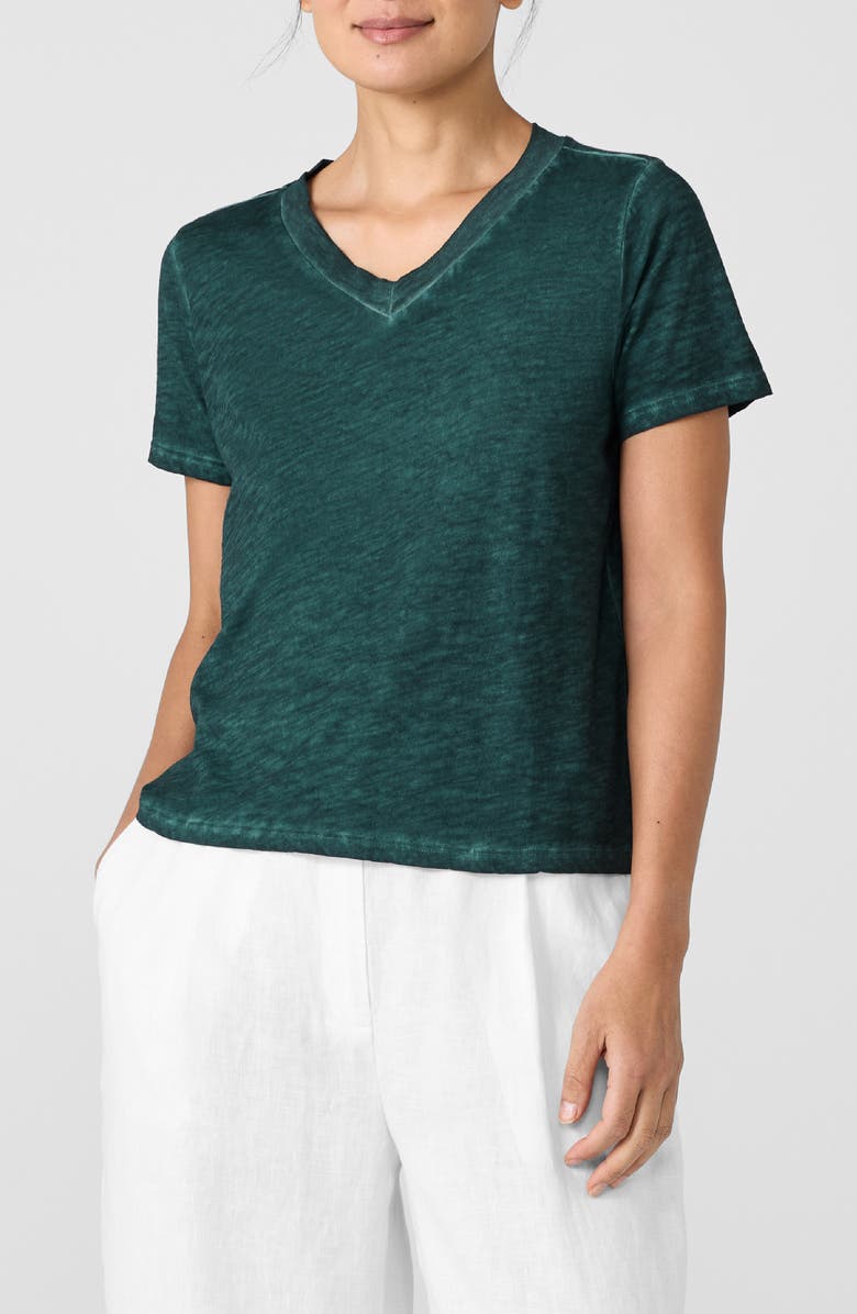 Eileen Fisher V-Neck Organic Cotton T-Shirt, Main, color, Aegean
