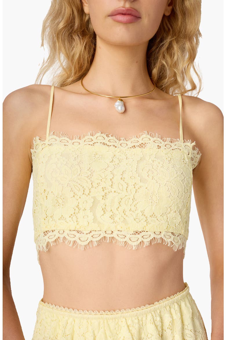 Sofie Lace Crop Camisole, Main, color, BUTTERCUP