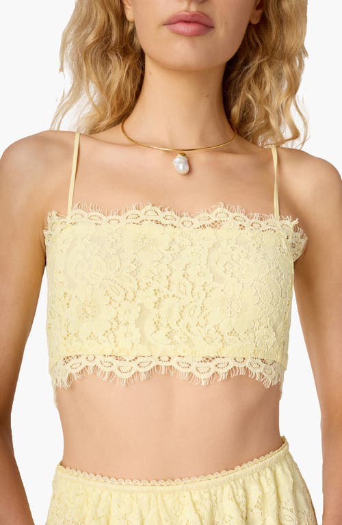 CAMI NYC Sofie Lace Crop Camisole in Buttercup at Nordstrom, Size 00