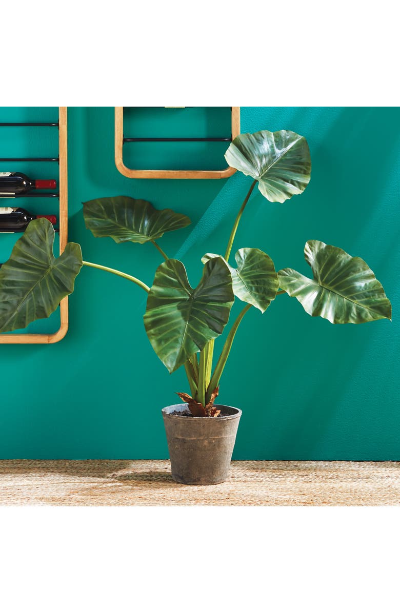Napa Home & Garden Alocasia Potted 42", Alternate, color, Green
