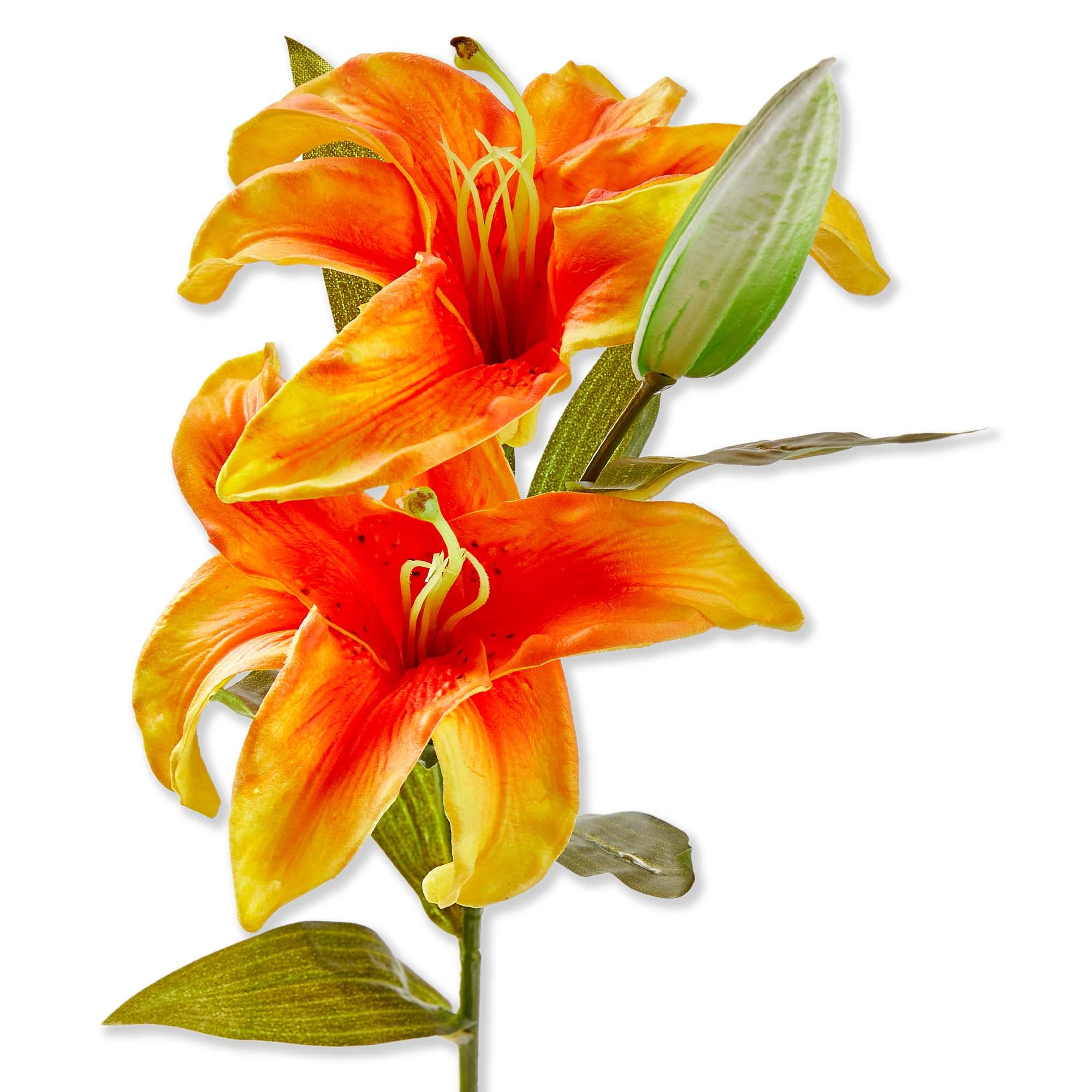 selected Orange