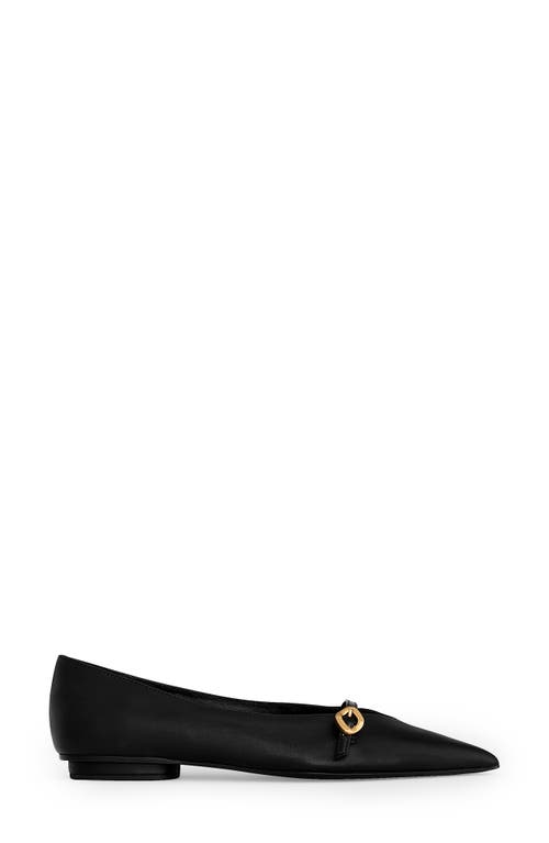 Rebecca Minkoff Pointed Toe Buckle Flat In Multi