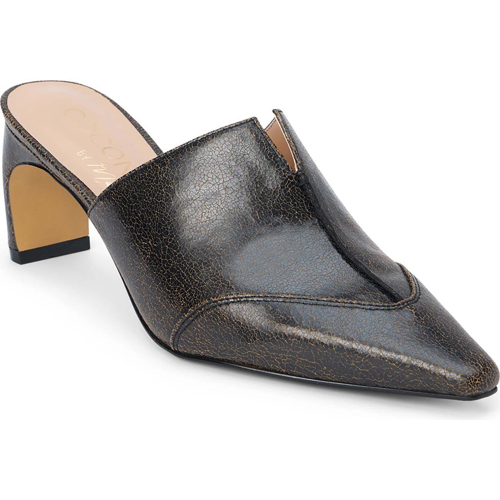 Coconuts by Matisse Crawford Pointed Toe Mule in Black  product