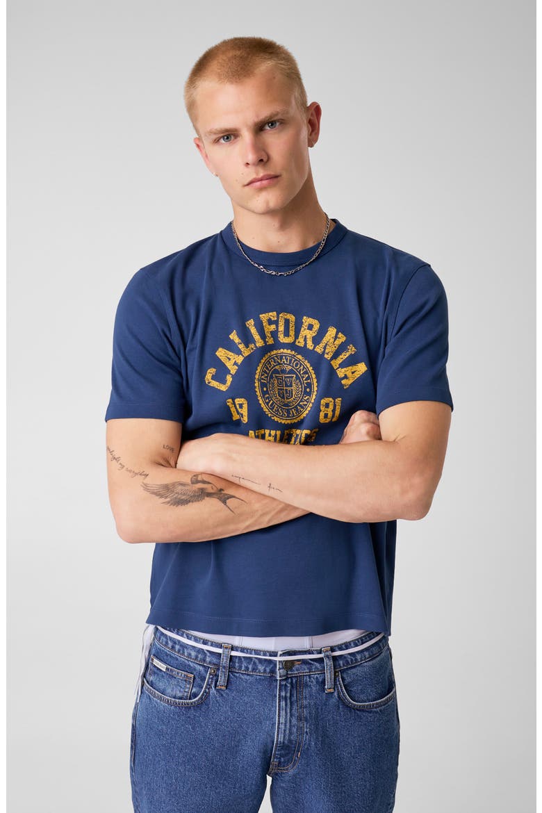Sueded Jersey Graphic T-Shirt, Alternate, color, F7IX-OPEN
