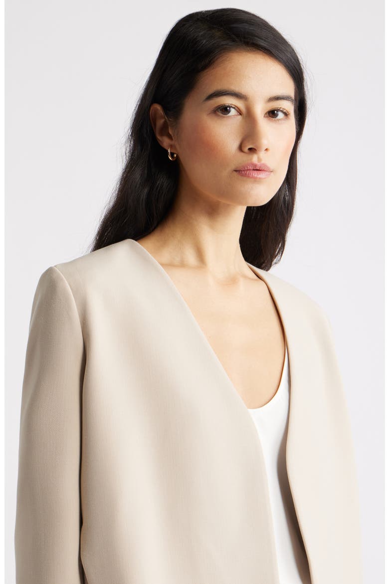 Collarless Blazer, Alternate, color, BEIGE HUMUS