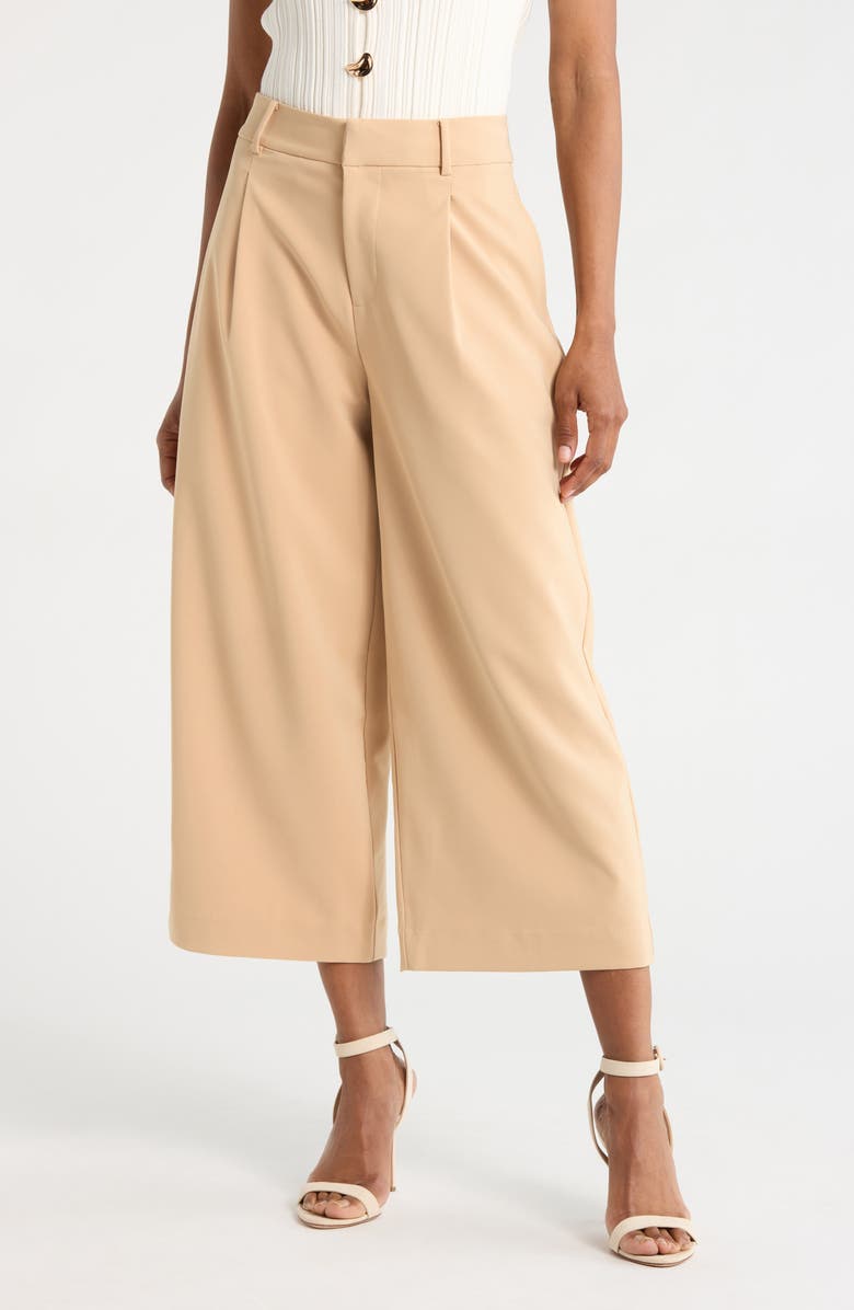 JASON WU Pleat Front Culottes, Main, color, Cuban Sand