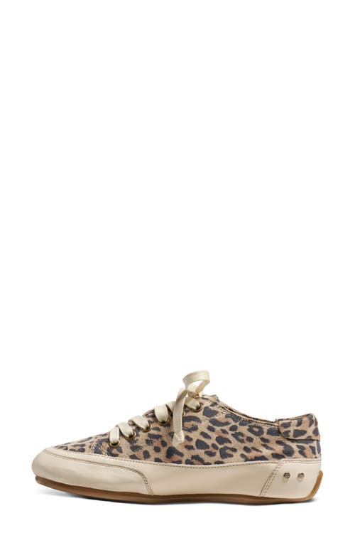Beek Sanderling Sneaker In Brown