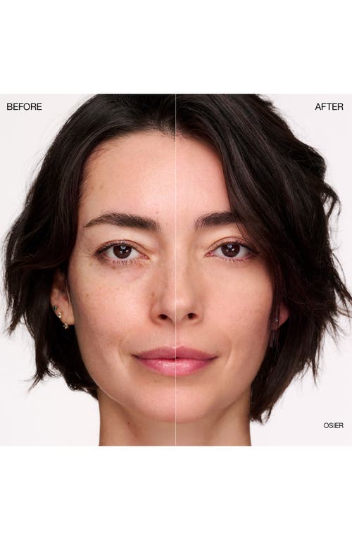 Ogee Complexion Perfecting Concealer