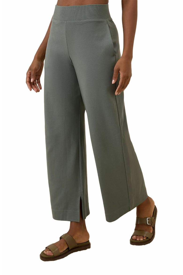 Organic Cotton Airplane Wide Leg Pant - 29" Inseam, Alternate, color, Castor Grey