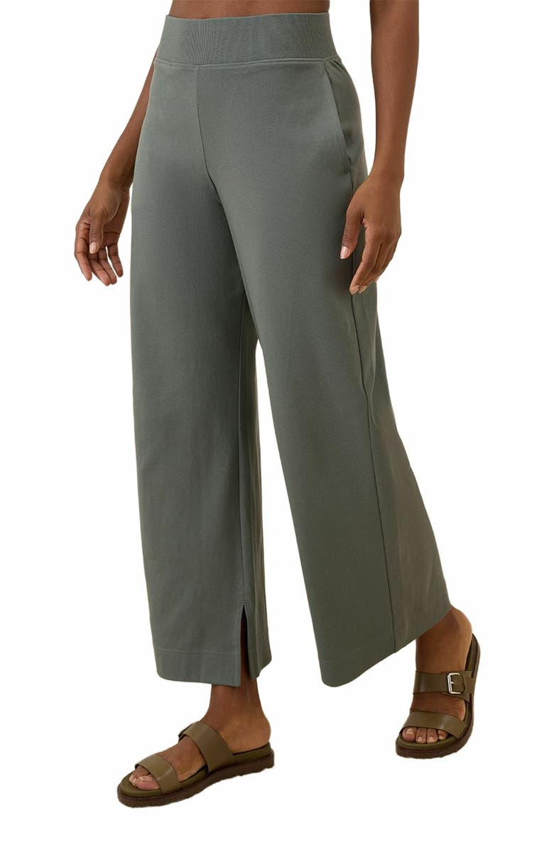 Pact Organic Cotton Airplane Wide Leg Pant - 26" Inseam, Alternate, color, Castor Grey
