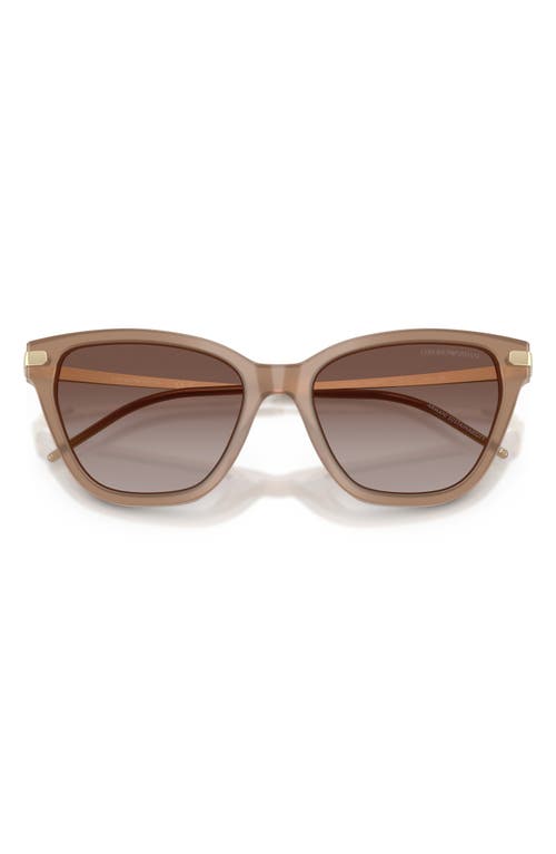 Emporio Armani 54mm Gradient Cat Eye Sunglasses In Brown