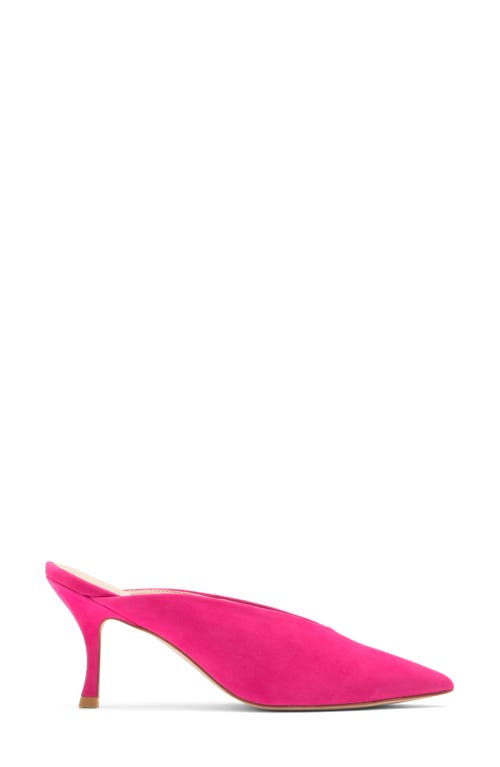 STUART WEITZMAN STUART WEITZMAN LULA POINTED TOE PUMP 