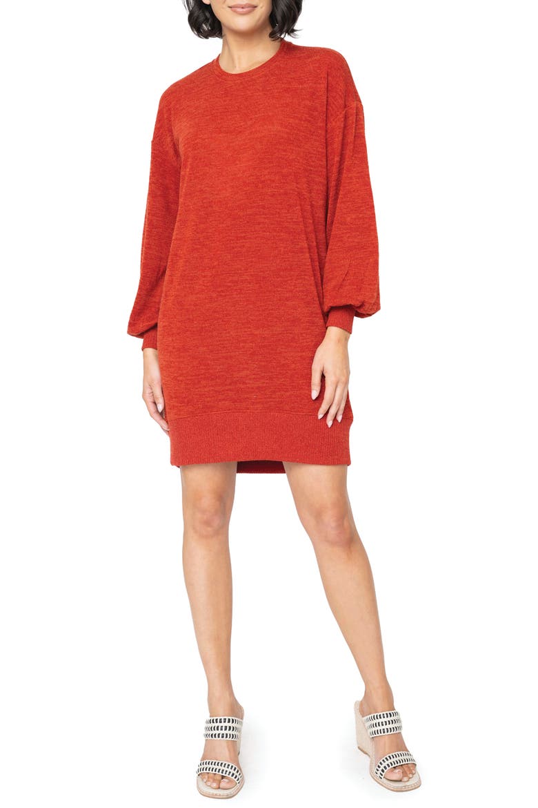Long Sleeve Sweater Dress, Main, color, CARMINE RED