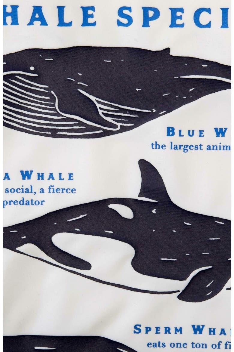 Boys' Long Sleeve Rash Guard, Kids, Alternate, color, White Blue Whale