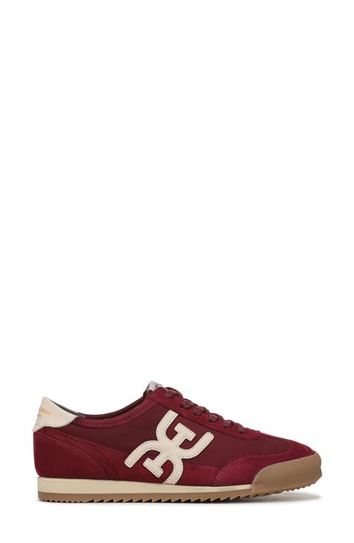 Sam Edelman Ivey Sneaker In Burgundy