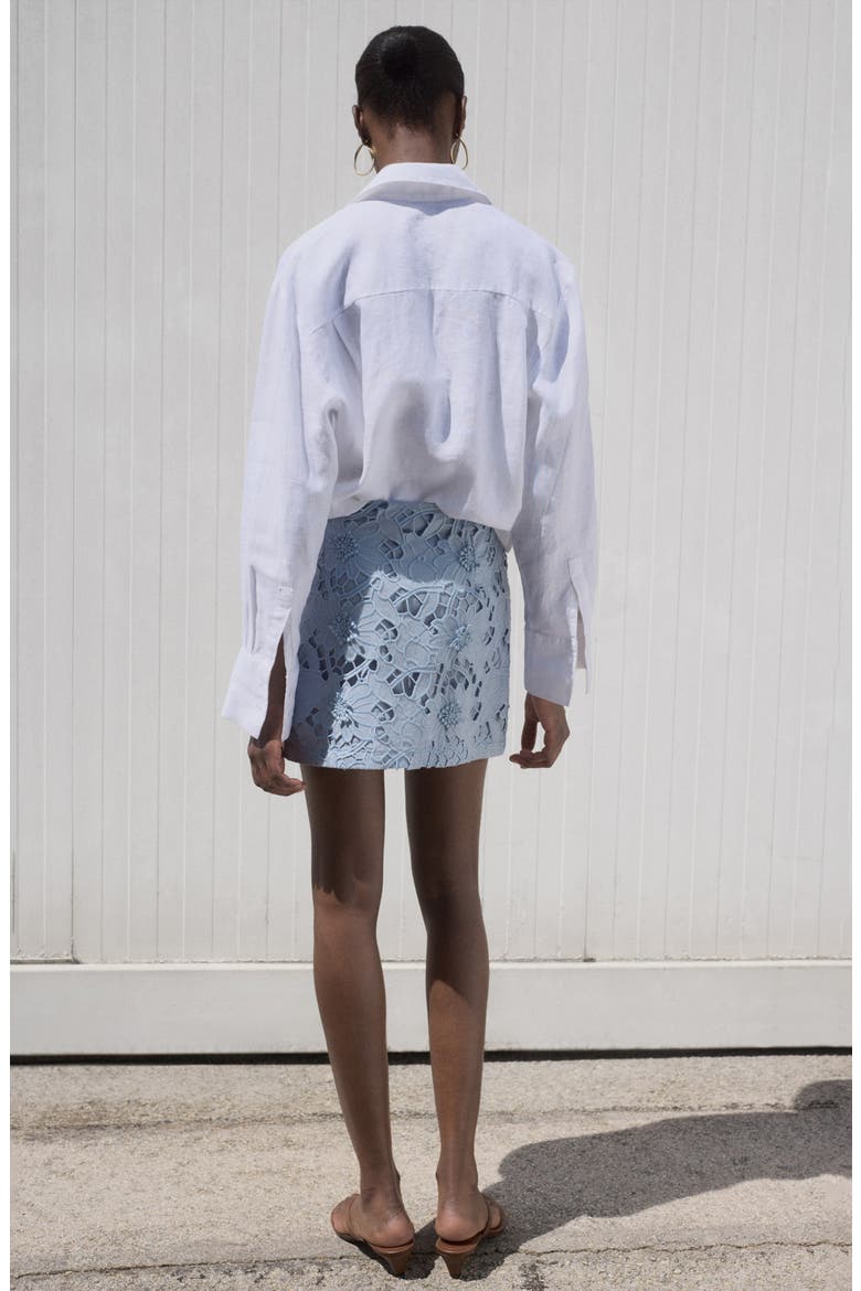 Embroidered Floral Cotton Miniskirt, Alternate, color, BLUE