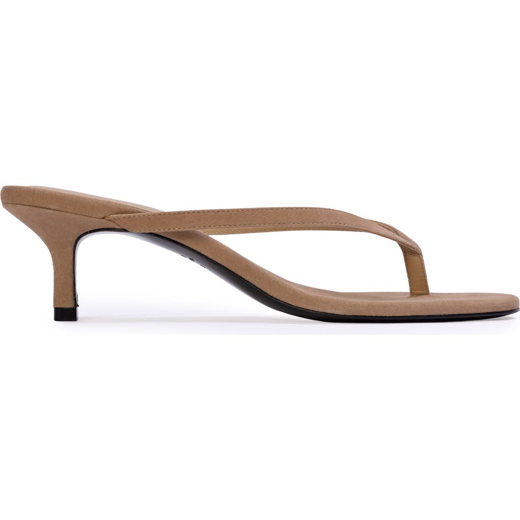 BLACK SUEDE STUDIO Tash 50 Suede Sandal in Latte Suede at Nordstrom, Size 37.5