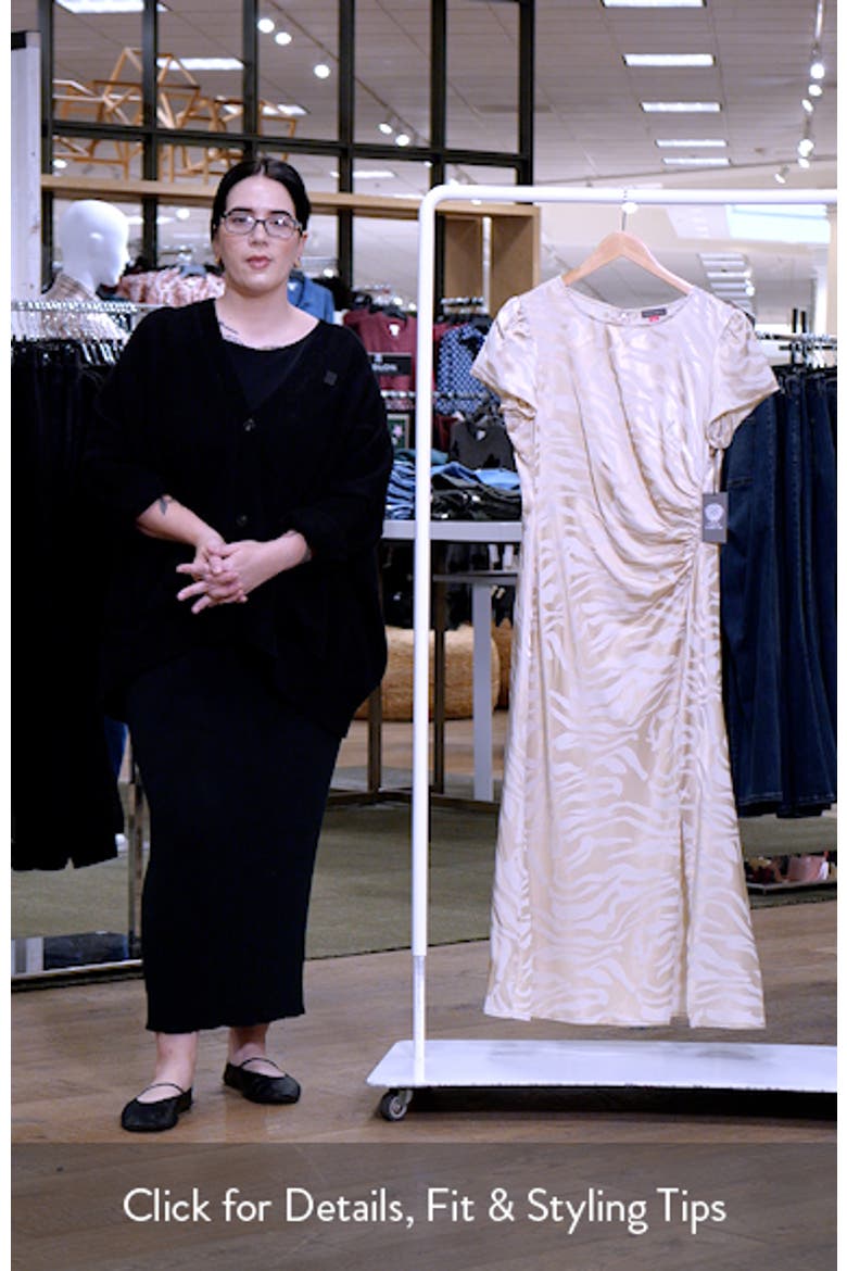 Zebra Stripe Short Sleeve Midi Dress video