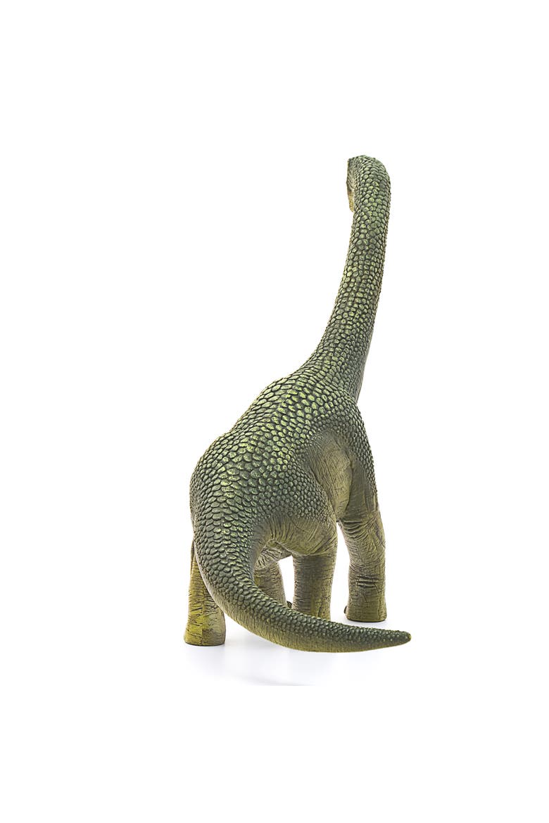 Brachiosaurus  9.6" Dinosaur Action Figure, Realistic Dino Collectible, Kids, Alternate, color, Multicolored