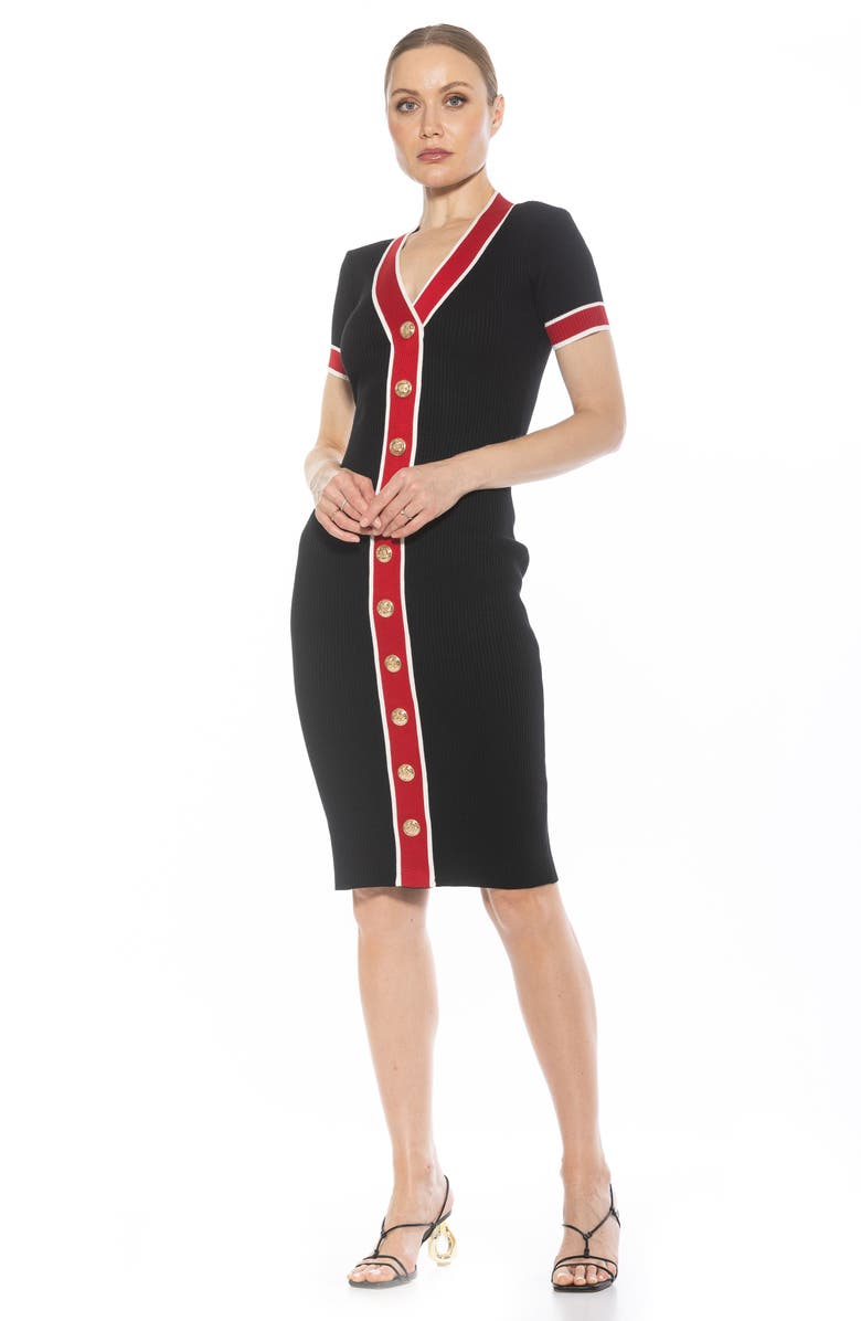 Alexia Admor Otto V-neck Short Sleeve Ribbed Sweater Dress, Alternate, color, Black