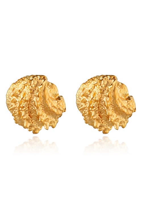 Christina Caruso Small Shell Stud Earrings In 14k Gold