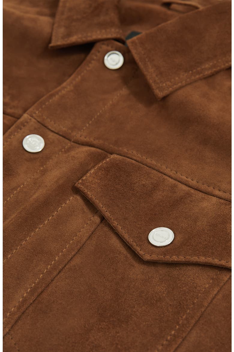 Edington Goatskin Suede Trucker Jacket, Alternate, color, TOBACCO BROWN