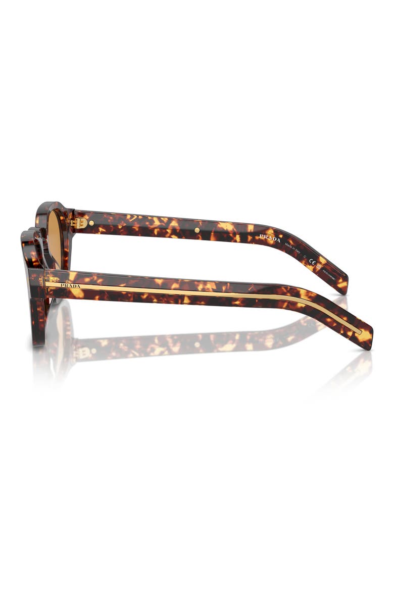 53mm Phantos Sunglasses, Alternate, color, BROWN