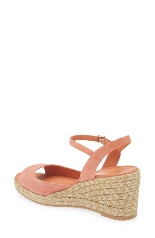 Stuart Weitzman Tia Espadrille Wedge Sandal In Terracotta.