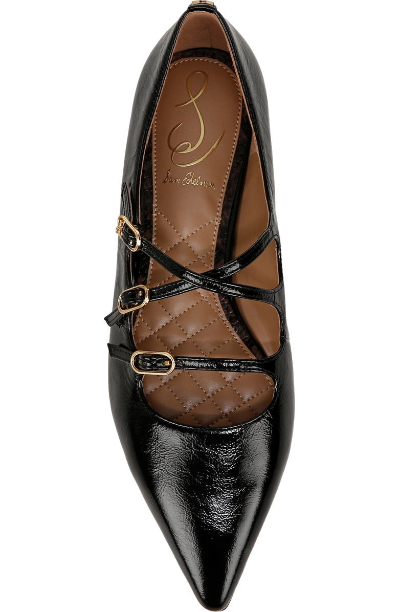 Sam Edelman Cass Pointed Toe Flat, Alternate, color,