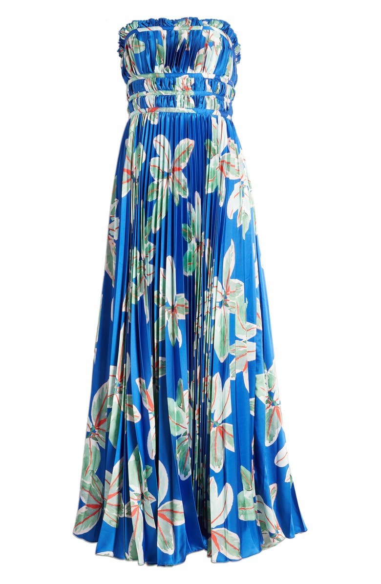 Hutch Sabina Floral Tiered Plissé Gown, Alternate, color, 