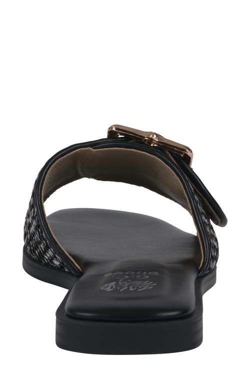 Gc Shoes Indie Slide Sandal In Black