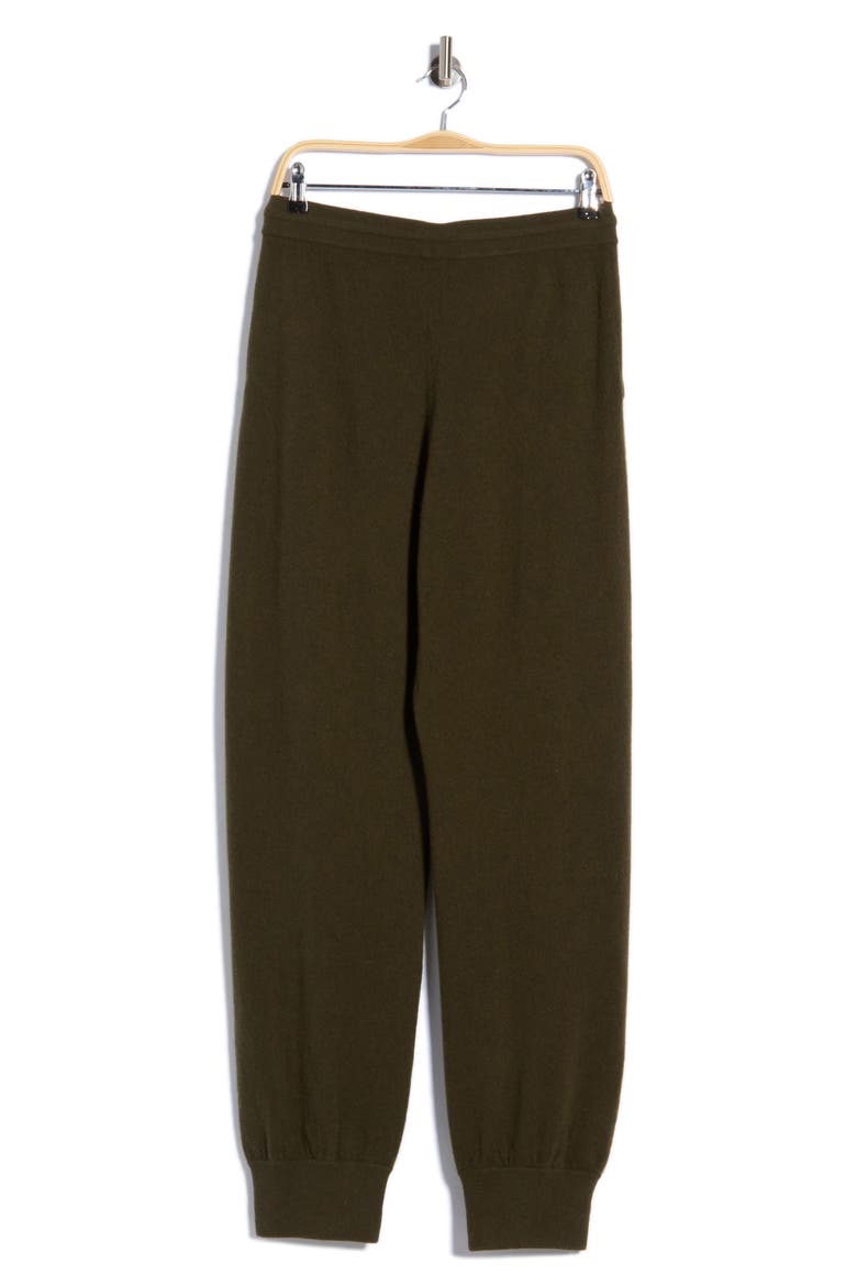 Danica Cashmere Pants, Alternate, color, HUNTER