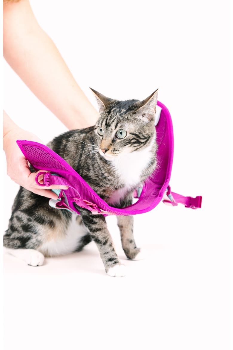 Joana Cat Harness and Leash Set, Alternate, color, Joana