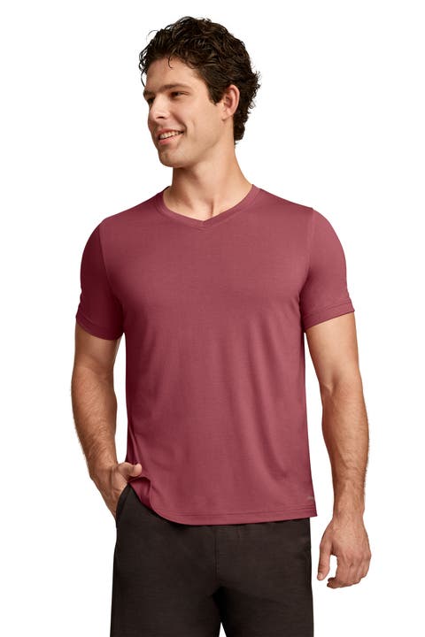Men's EverActive V-Neck Tee