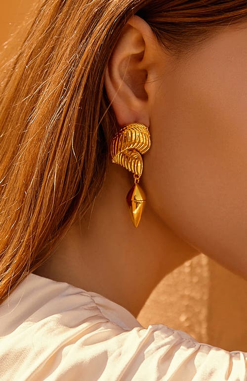 Rc Retro Chic Hawk Wing Earrings In Gold
