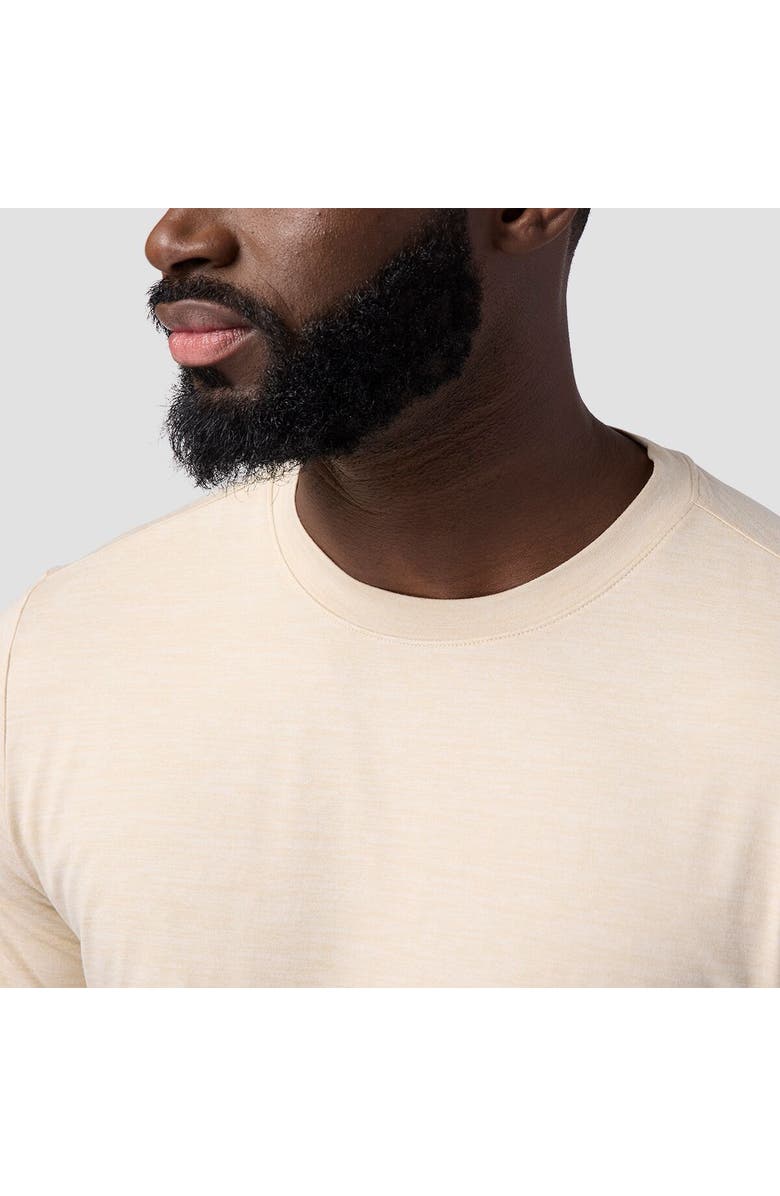 Backcountry Destination Crew T-Shirt - Men's, Alternate, color, Fog