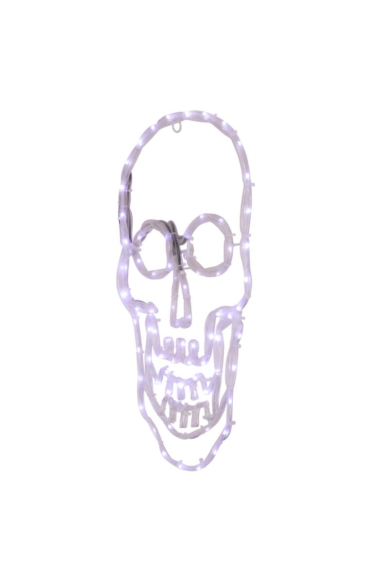 Northlight LED Lighted 4 Function Skull Halloween Window Decoration - 18", Alternate, color, 