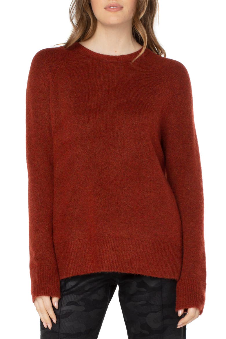 Raglan Sleeve Sweater, Main, color, SAFFRON HEATHER