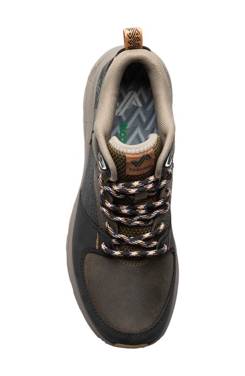 Forsake Wild Sky Waterproof Mid Hiking Sneaker In Black Olive