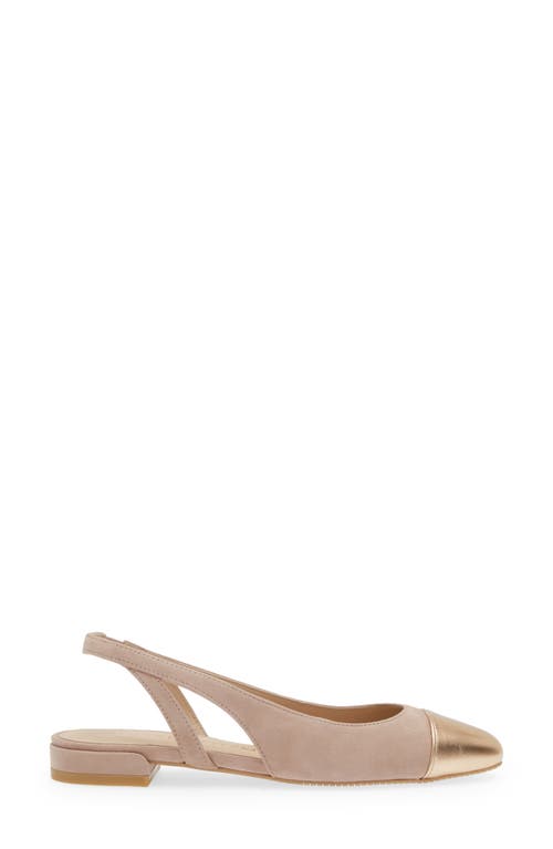 Stuart Weitzman Cap Toe Slingback Flat In Fawn/ballet