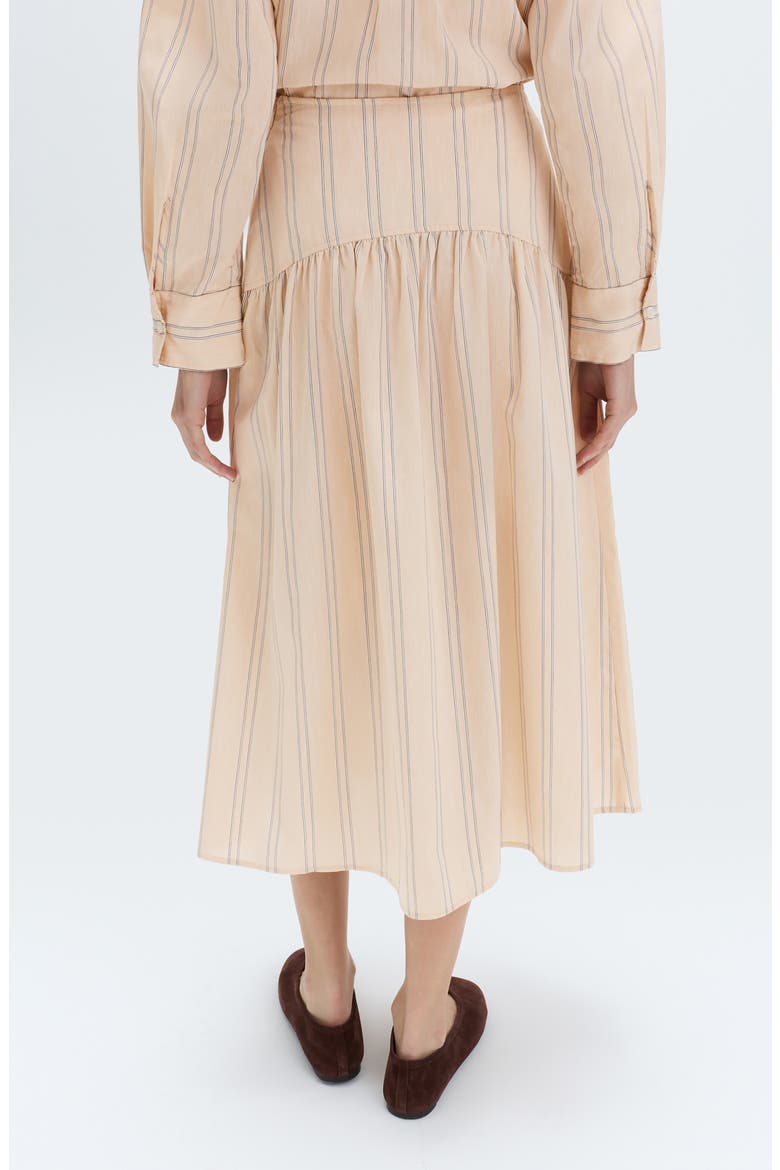 Stripe Midi Skirt, Alternate, color, NATURAL MULTI