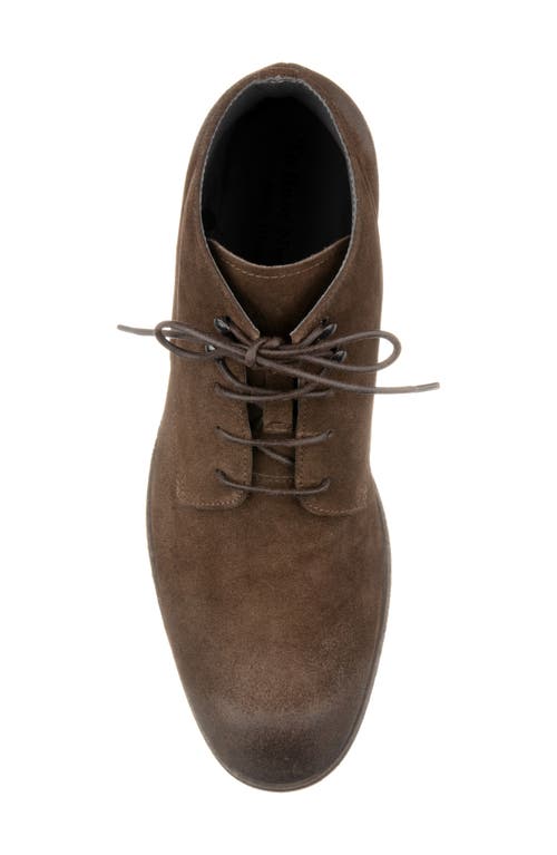 To Boot New York Jarreau Lace-up Boot In Brown