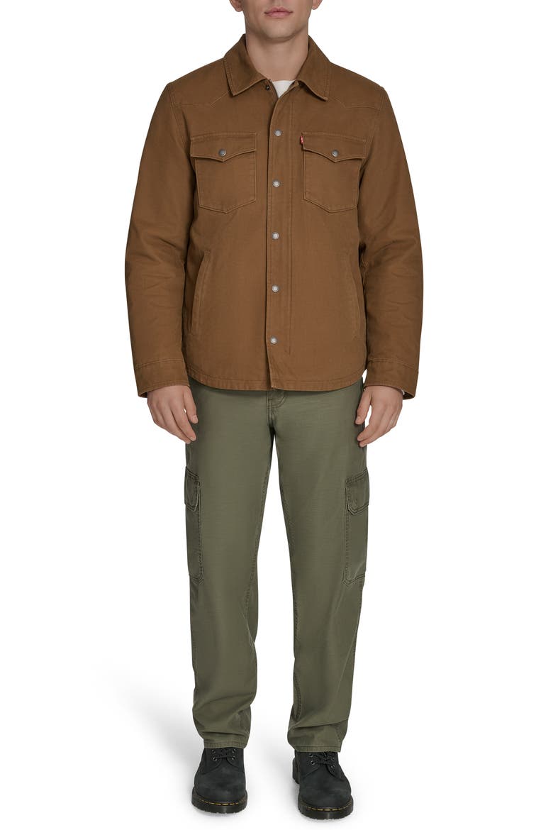 Western Shirt Jacket, Alternate, color, BROWN