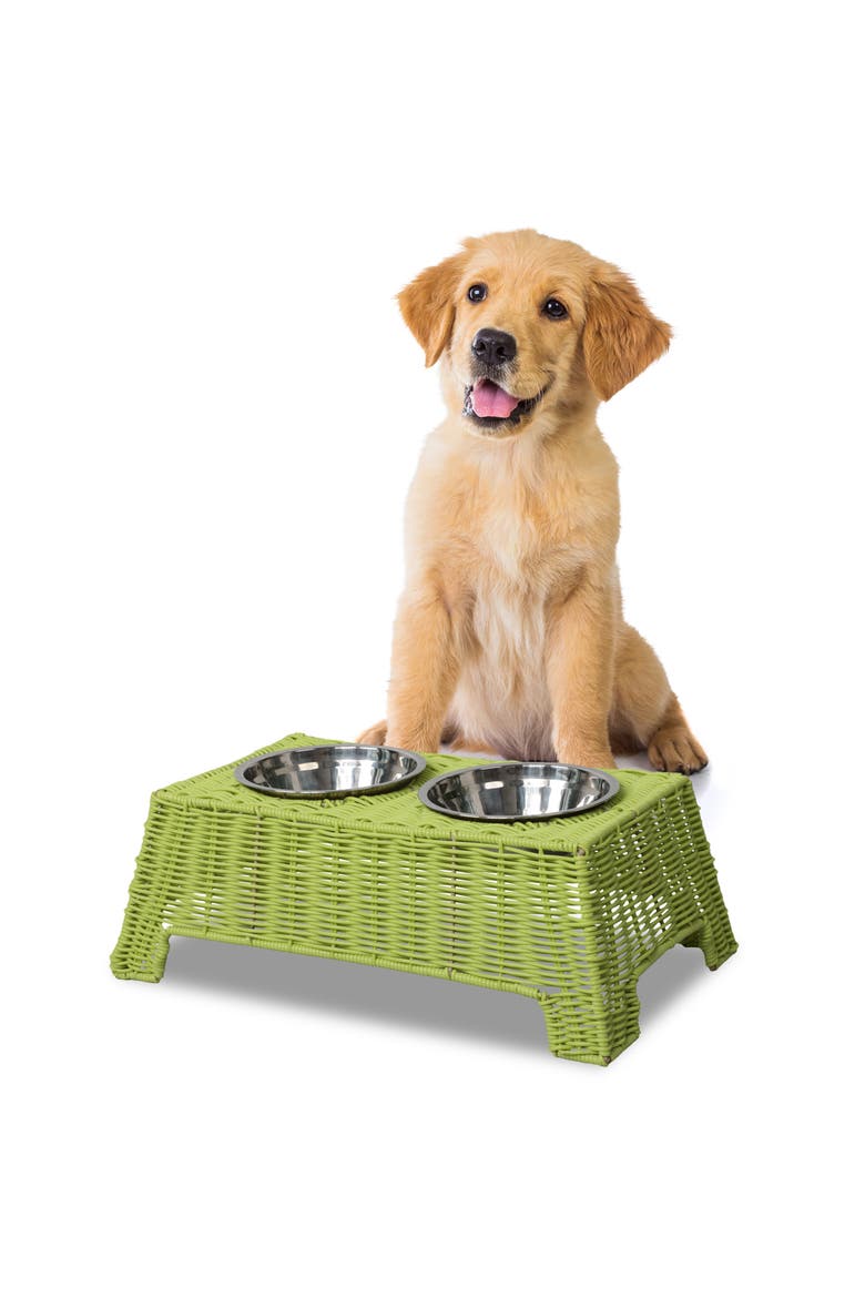 Serenity 6.9" Small/Medium Elevated Wicker Pet Feeder with 18oz (2.2 Cups) 2-Stainless Steel Bowls, Main, color, Light Green