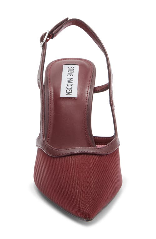Steve Madden Scotlynn Slingback Pump In Burgundy